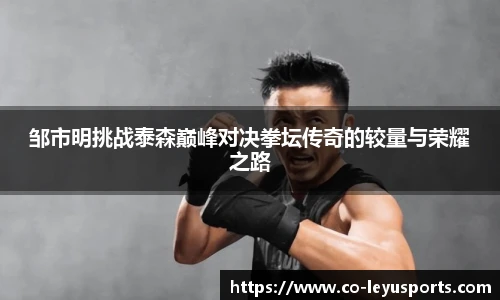 邹市明挑战泰森巅峰对决拳坛传奇的较量与荣耀之路