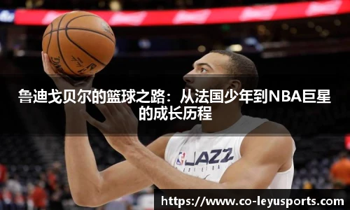 乐鱼体育app下载官网