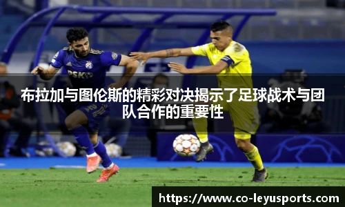 乐鱼体育官网